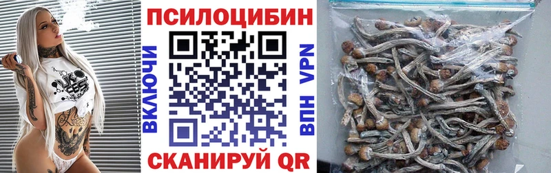 Псилоцибиновые грибы GOLDEN TEACHER  где купить наркоту  Струнино 